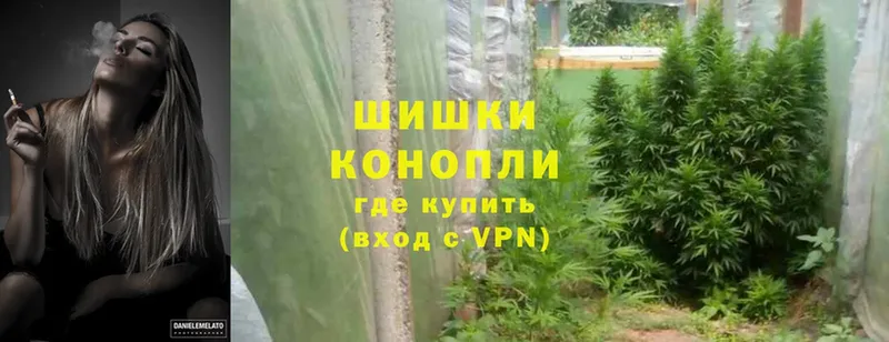 Конопля LSD WEED  купить   Воронеж 